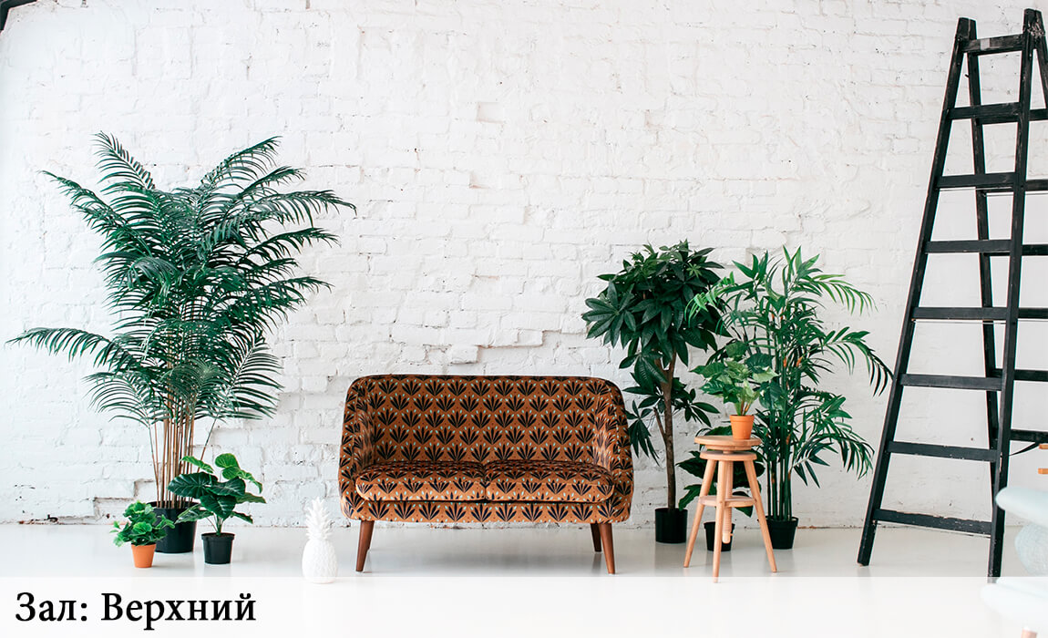 Фотостудии СПб Скай поинт