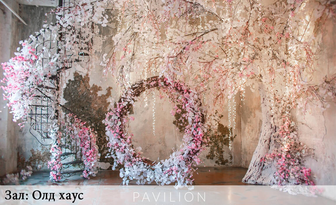 Фотостудии СПб - Павилион